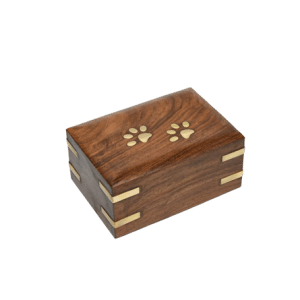 Brass Paw Print Inlay Series