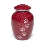 Fiery red Color Fiery red Color