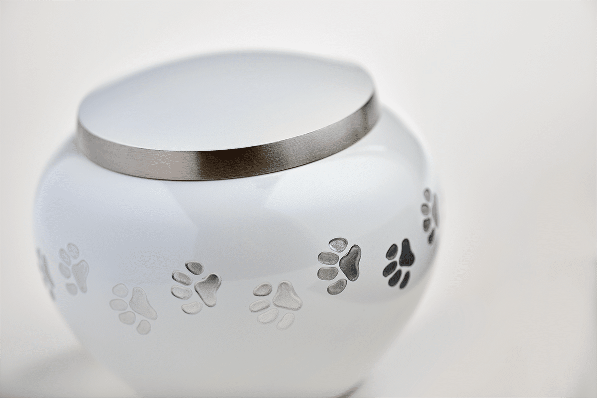 Rounded Pot Urns