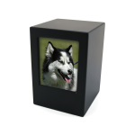 Black Color Black Color