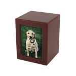 Cherry Color Cherry Color